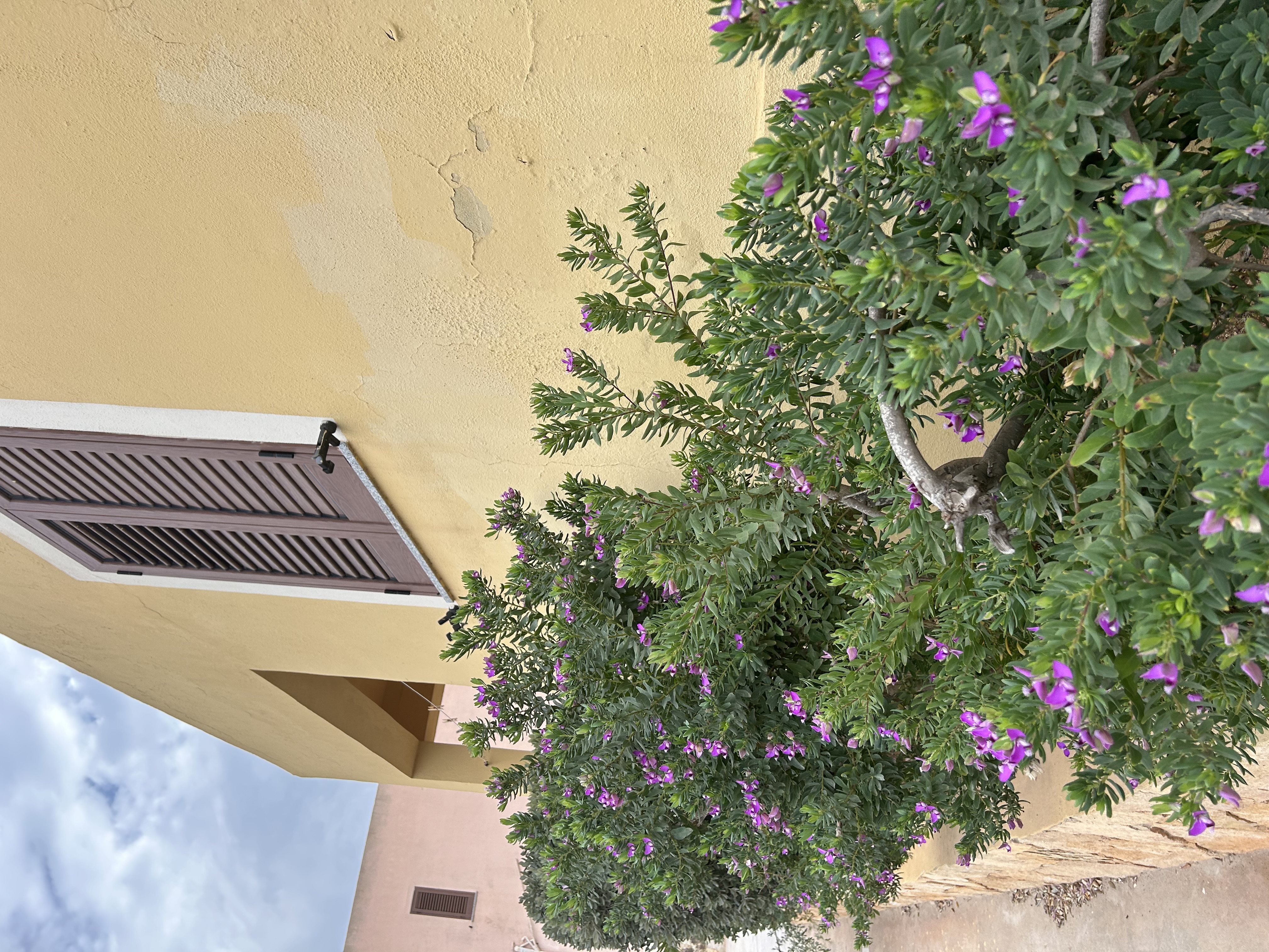 Residence Lampedusa Case dell'Acqua